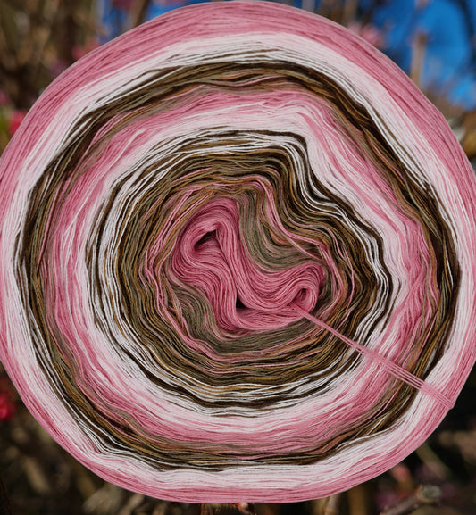 Programm Bobbel Nr. 157