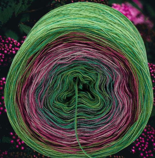 Programm Bobbel Nr. 019