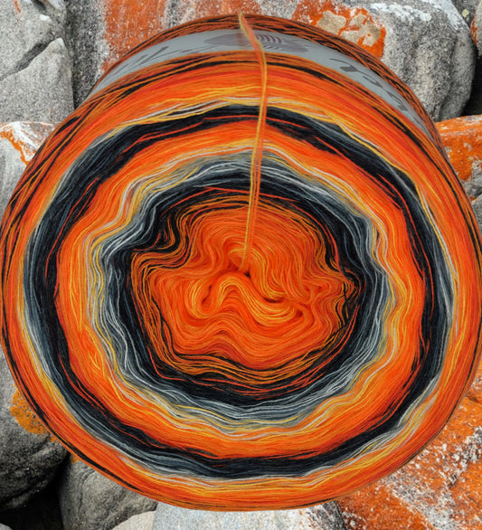 Programm Bobbel Nr. 213