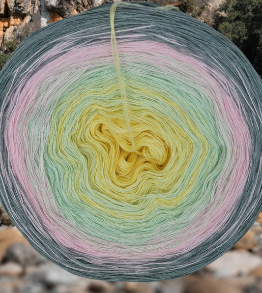 Programm Bobbel Nr. 222