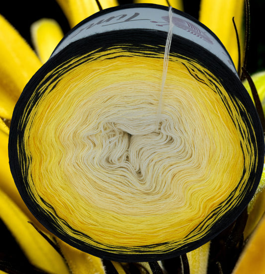 Programm Bobbel Nr. 311