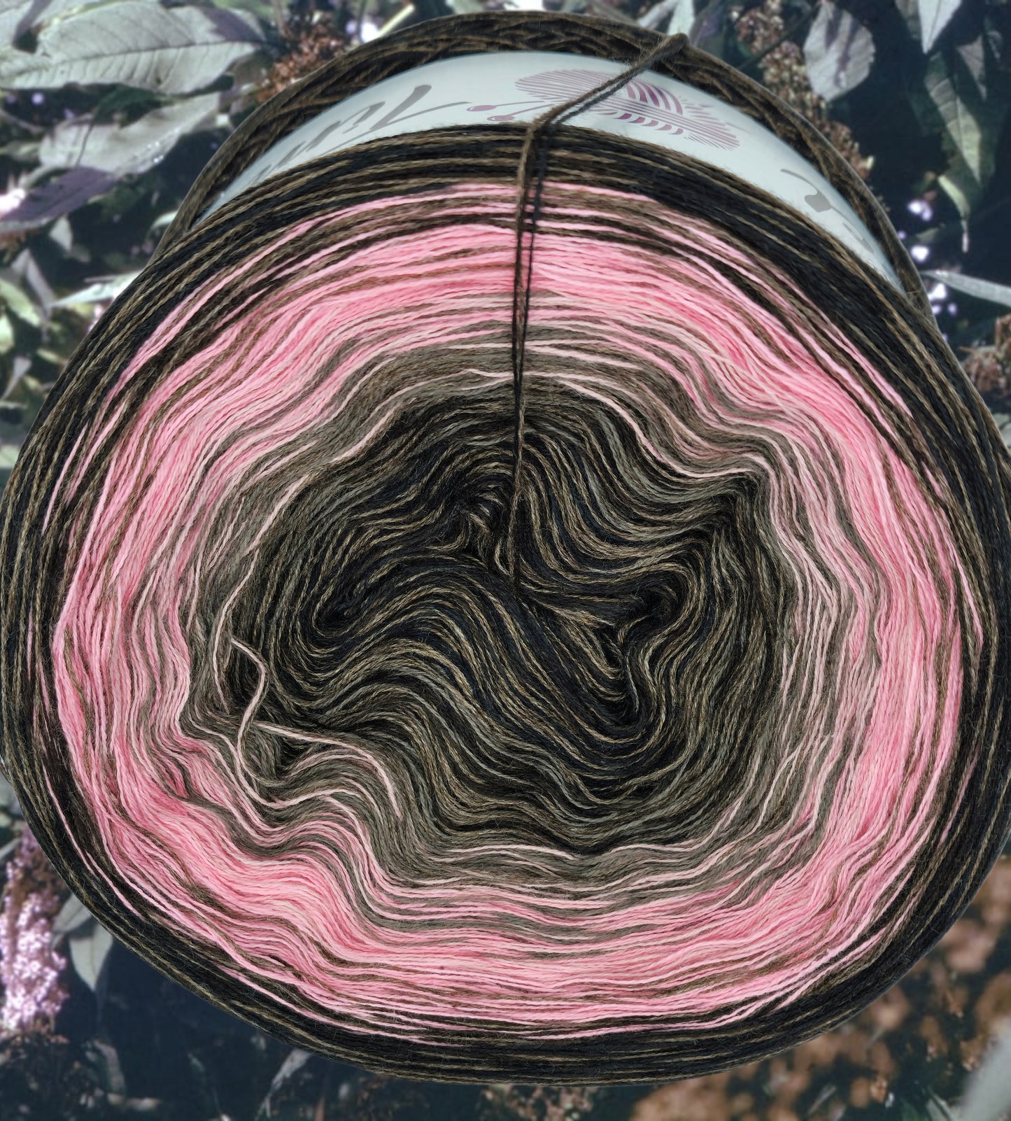 Programm Bobbel Nr. 315