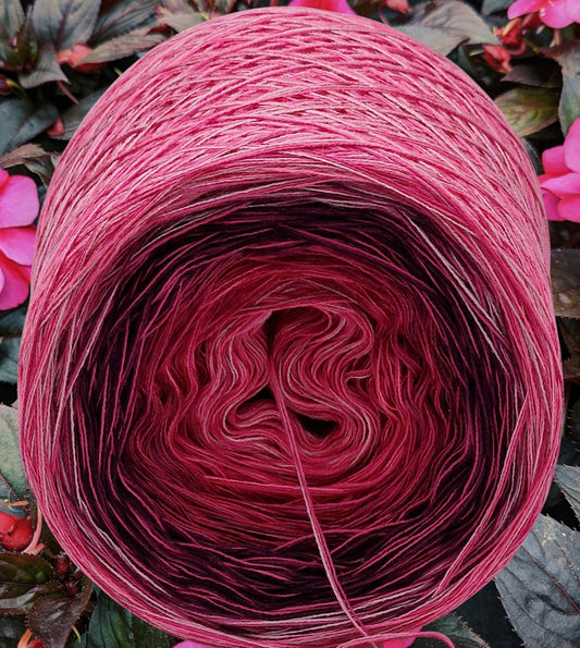 Programm Bobbel Nr. 049